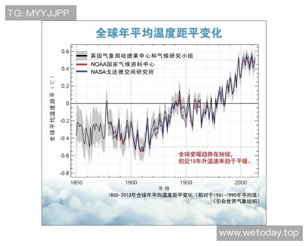 各大联赛排名变化追踪