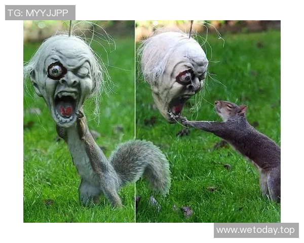 揭秘凯尔特人未知的一面:十大冷知识让你大开眼界 揭秘凯尔特人未知的一面:十大冷知识让你大开眼界